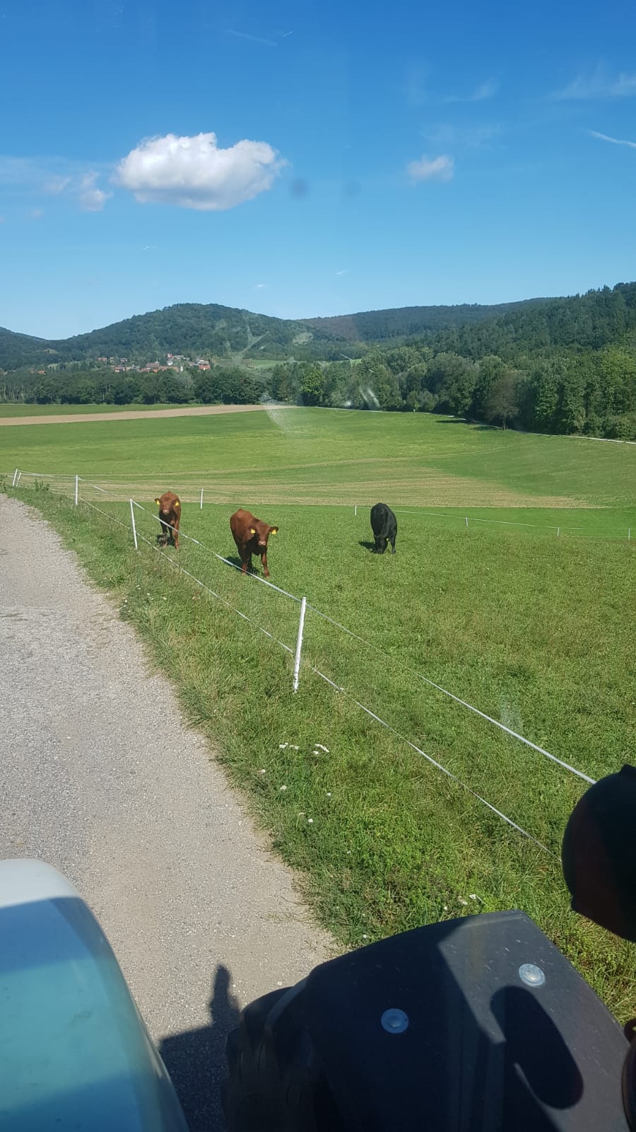 IMG-20190918-WA0015