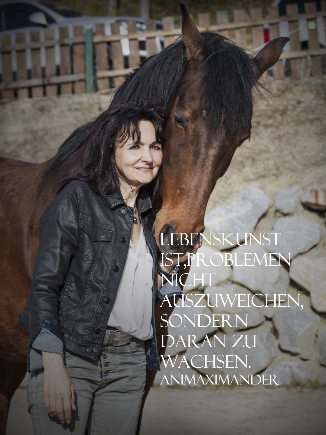 bild50