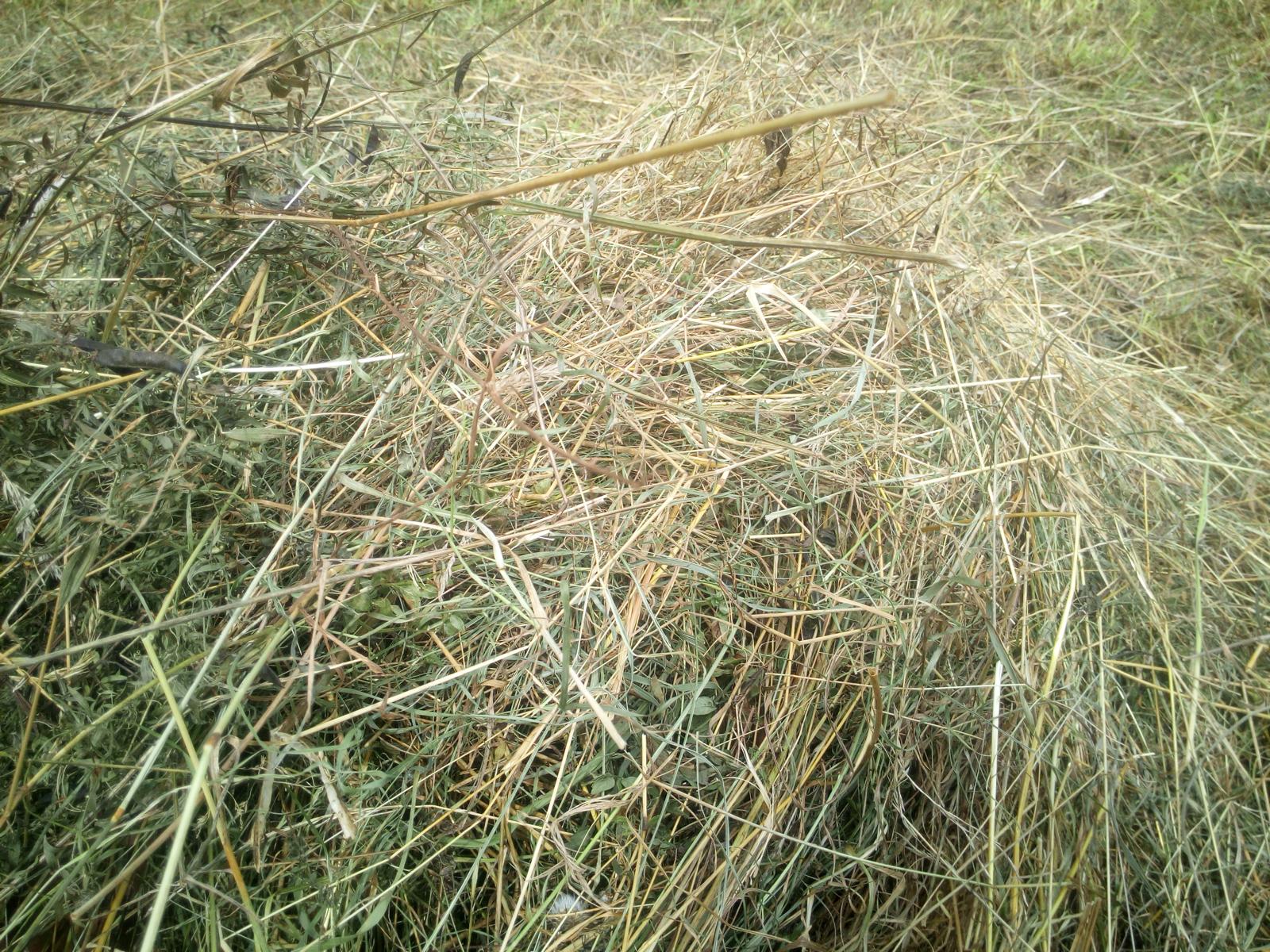 Heulage_1